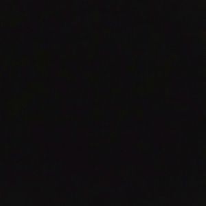 Meet your Posher, bee